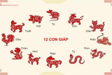 12 Con Giáp Trong Phong Thủy – Ý Nghĩa Sâu Sắc Và Ảnh Hưởng Đến Vận Mệnh