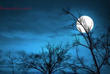 Sao Thái Âm - Ý Nghĩa Ở Mệnh Và Các Cung