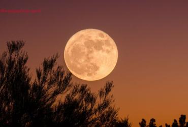 Khám Phá Mối Liên Hệ Giữa Các Pha Mặt Trăng Và Cuộc Sống Hàng Ngày