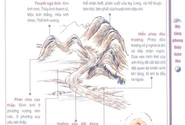 Bảy Phương Pháp Chọn Huyệt Chính: Bí Quyết Chọn Huyệt Phong Thủy Âm Trạch