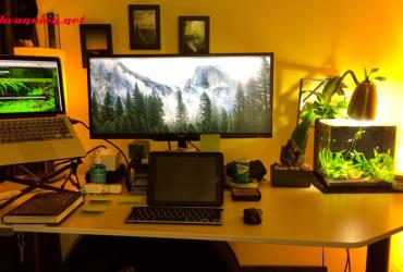 Bố Trí Bàn Làm Việc Ngày Đầu Năm Mới Hút Tài Lộc :current_year