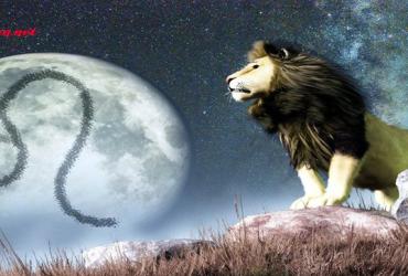 Giải mã 3 Decan của cung Sư Tử: Bạn là phiên bản nào?