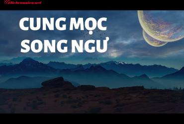 Cung Mọc Song Ngư: Chân Dung Kẻ Mộng Mơ Với Đôi Mắt Biết Nói
