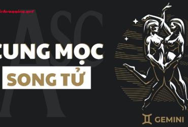 Cung Mọc Song Tử: Giải Mã Mặt Nạ Xã Hội Của Kẻ Dẫn Truyện Bậc Thầy