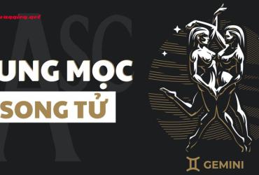 Giải mã Cung Mọc Sư Tử: Chiếc mặt nạ hoàng gia và sự biến hóa cùng 12 Cung Mặt Trời