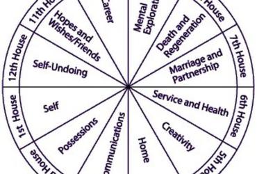 Cung Nhà 11 trong Chiêm tinh học: Mạng lưới Xã hội, Khát vọng và Phúc lợi