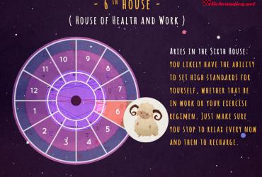 Cung Nhà 6 trong Chiêm tinh: Nền tảng của Sức khỏe và Sự Phụng sự