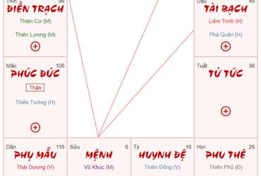 Bí mật hình dáng lá số: Bạn thuộc kiểu người nào trong 7 mô hình Marc Edmund Jones?