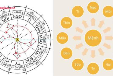Giải mã bản đồ sao: Vùng năng lượng nào đang chi phối vận mệnh của bạn?