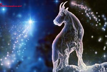 Sao Kim nghịch hành là gì? Giải mã hiện tượng và cách "sinh tồn" hiệu quả