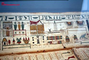 Decan Là Gì? Mảnh Ghép Hoàn Thiện Bức Tranh Tính Cách Trong Bản Đồ Sao