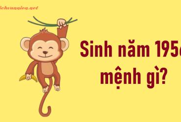 Sinh Năm 1956 Bính Thân Mệnh Gì? Hợp Tuổi Gì? Hướng Nào Tốt?
