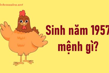 Sinh Năm 1957 Đinh Dậu Mệnh Gì? Hợp Tuổi Gì? Hướng Nào Tốt?