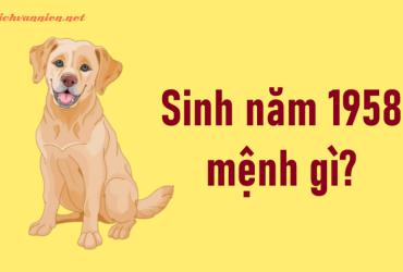 Sinh Năm 1958 Mậu Tuất Mệnh Gì? Hợp Tuổi Gì? Hướng Nào Tốt?