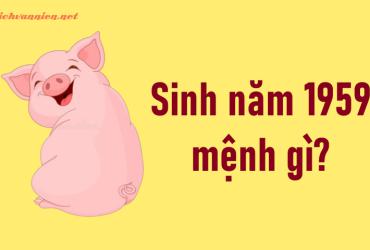 Sinh Năm 1959 Kỷ Hợi Mệnh Gì? Hợp Tuổi Gì? Hướng Nào Tốt?