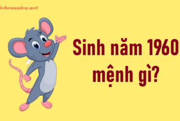 Sinh Năm 1960 Canh Tý Mệnh Gì? Hợp Tuổi Gì? Hướng Nào Tốt?
