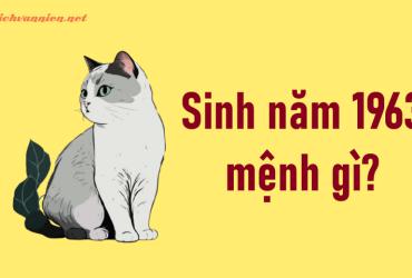 Sinh Năm 1963 Quý Mão Mệnh Gì? Hợp Tuổi Gì? Hướng Nào Tốt?