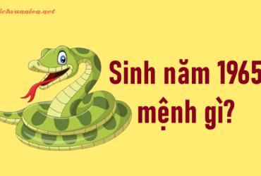 Sinh Năm 1965 Ất Tỵ Mệnh Gì? Hợp Tuổi Gì? Hướng Nào Tốt?