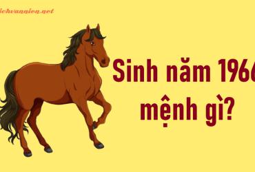 Sinh Năm 1966 Bính Ngọ Mệnh Gì? Hợp Tuổi Gì? Hướng Nào Tốt?
