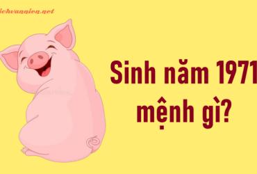 Sinh năm 1971 Tân Hợi mệnh gì? Hợp tuổi gì? Hợp hướng nào?