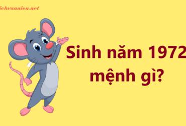 Sinh năm 1972 Nhâm Tý mệnh gì? Hợp tuổi gì? Hợp hướng nào?