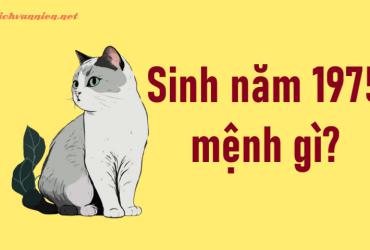 Sinh năm 1975 Ất Mão mệnh gì? Hợp tuổi gì? Hợp hướng nào?