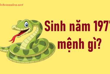 Sinh năm 1977 Đinh Tỵ mệnh gì? Hợp tuổi gì? Hợp hướng nào?