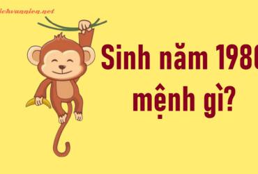 Sinh năm 1980 Canh Thân mệnh gì? Hợp tuổi gì? Hợp hướng nào?