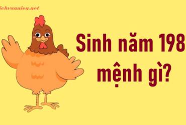 Sinh năm 1981 Tân Dậu mệnh gì? Hợp tuổi gì? Hợp hướng nào?