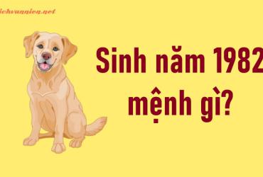 Sinh năm 1982 Nhâm Tuất mệnh gì? Hợp tuổi gì? Hợp hướng nào?