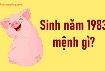 Sinh năm 1983 Quý Hợi mệnh gì? Hợp tuổi gì? Hợp hướng nào?