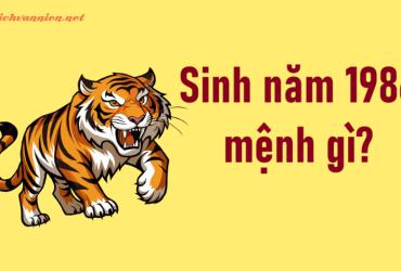 Sinh năm 1986 Bính Dần mệnh gì? Hợp tuổi gì? Hợp hướng nào?