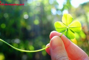 Những Điều Nên Làm Cuối Năm Để Thu Hút May Mắn Và Tài Lộc