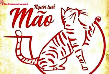 Đá Phong Thuỷ Cho Người Tuổi Mão: Lựa Chọn Linh Vật Hợp Mệnh Và Tăng Cường Vận Khí