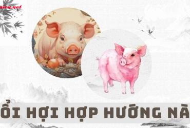 Hướng Nhà Hợp Phong Thủy Cho Người Tuổi Hợi - Bí Quyết An Cư Lạc Nghiệp