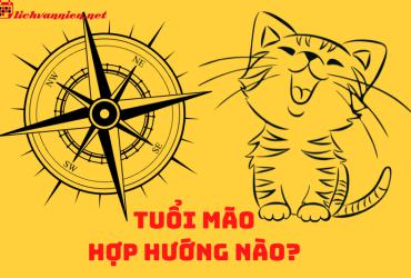 Hướng Nhà Hợp Phong Thủy Cho Người Tuổi Mão - Bí Quyết Chọn Hướng Đón Tài Lộc