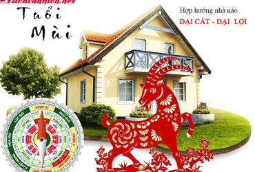 Hướng Nhà Hợp Phong Thủy Cho Người Tuổi Mùi - Bí Quyết Chiêu Tài Nạp Khí