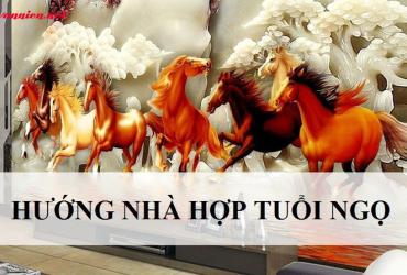 Hướng Nhà Hợp Phong Thủy Cho Người Tuổi Ngọ - Chọn Hướng Cát Tăng Vượng Khí