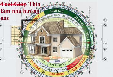 Bí Quyết Chọn Hướng Nhà Phù Hợp Với Người Tuổi Thìn Mang Lại Thịnh Vượng