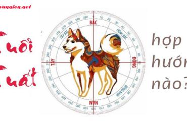 Hướng Nhà Hợp Phong Thuỷ Cho Người Tuổi Tuất – Bí Quyết Chọn Hướng Vượng Khí