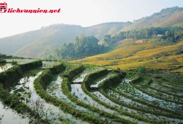 Khái Quát Về Tầm Long Điểm Huyệt: Nghệ Thuật Tìm Huyệt Cát Trong Phong Thủy
