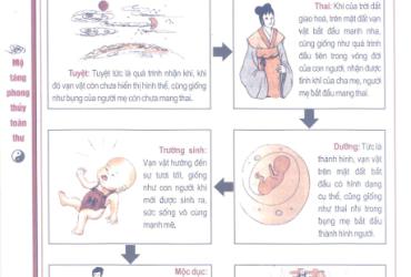 Ký Sinh 12 Cung: Chu Trình Vĩnh Cửu Của Vạn Vật Trong Triết Lý Phương Đông