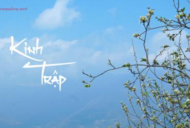 Tiết Kinh Trập Là Gì? Ý Nghĩa Tiết Kinh Trập