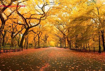 Tiết Lập Thu Là Gì? Ý Nghĩa Tiết Lập Thu