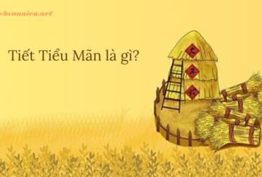 Tiết Tiểu Mãn Là Gì? Ý Nghĩa Tiết Tiểu Mãn
