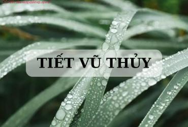 Tiết Vũ Thủy Là Gì? Ý Nghĩa Tiết Vũ Thủy