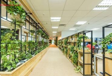 Phong thủy và khoa học: Sự kết nối giữa truyền thống và hiện đại trong môi trường sống