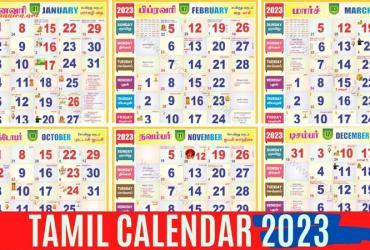 Lịch Tamil: Sự độc đáo của lễ hội Pongal, lễ hội thu hoạch
