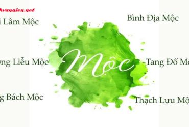 Mệnh Mộc Hợp Hướng Nào: Bí Quyết Chọn Phương Vị May Mắn