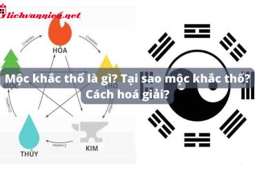 Mộc Khắc Thổ: Giải Mã Quy Luật Tương Khắc Trong Ngũ Hành